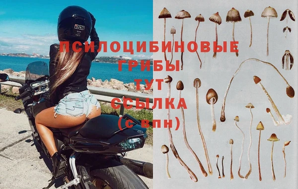 мдпв Армянск