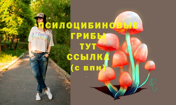 мдпв Армянск