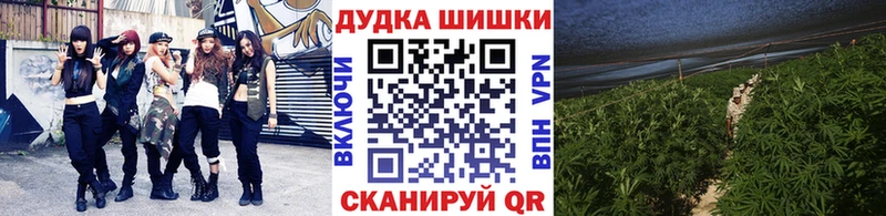 купить наркотик  darknet Telegram  Бошки Шишки White Widow  Сосновый Бор 